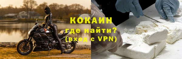 прущие грибы Лиски