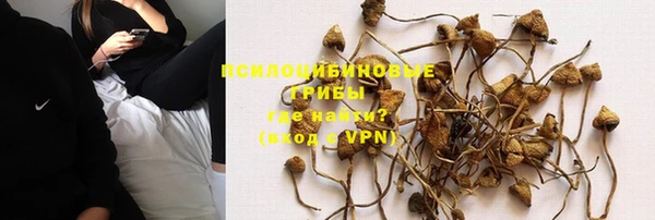 прущие грибы Лиски