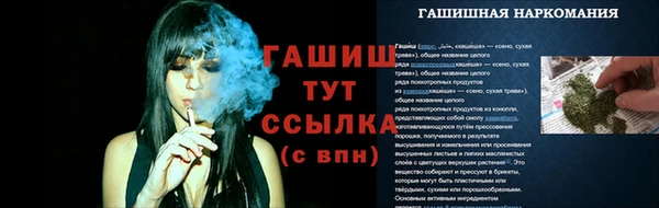 шишки Лагань