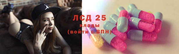 прущие грибы Лиски