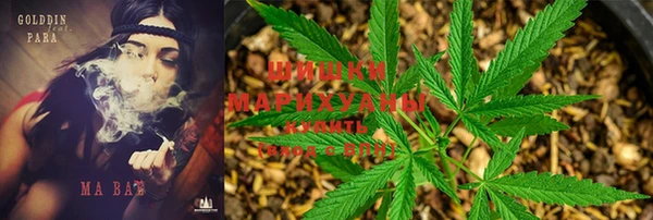 шишки Лагань