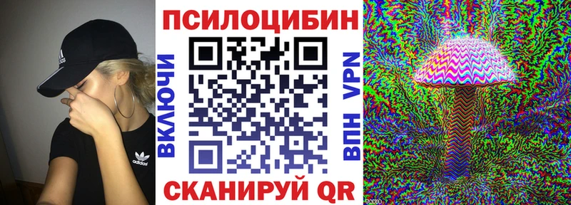 Псилоцибиновые грибы Magic Shrooms  купить наркотики сайты  Нерчинск 